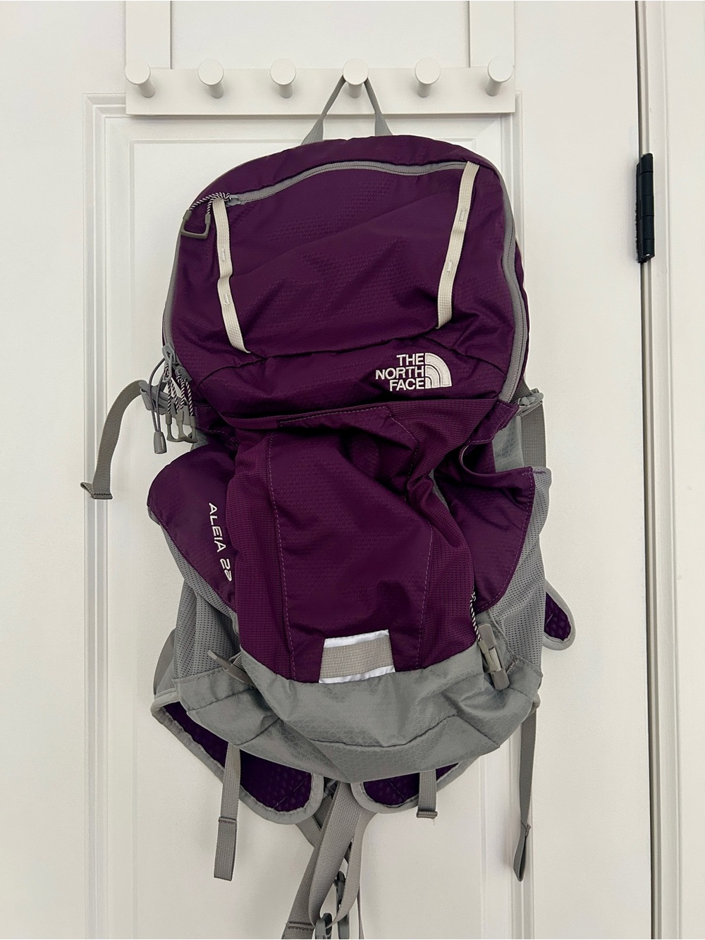 The North Face Aleia 22-women